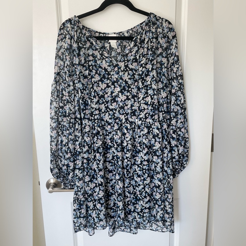 H&M Long Sleeve Chiffon Dress